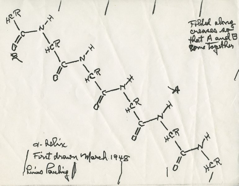 Linus Pauling's 1948 pencil sketch of the α-helix, showing peptide backbone hydrogen bonding and handwritten annotations