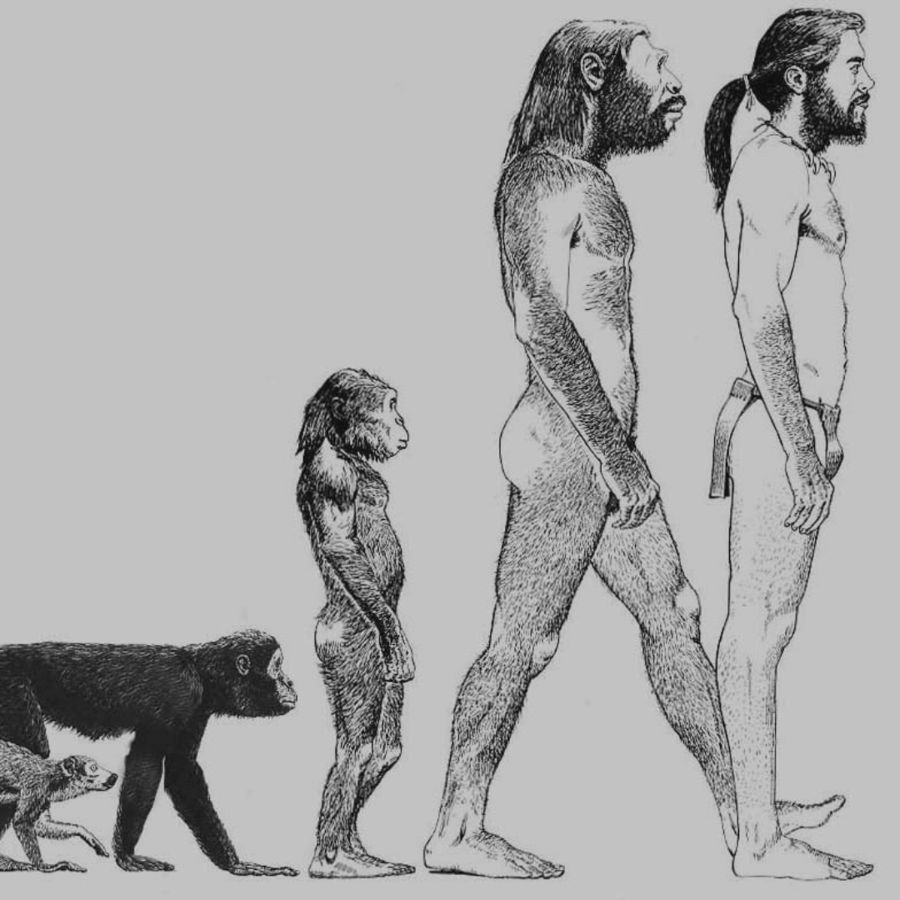 The Evolutionary Mystery of Human Head Hair