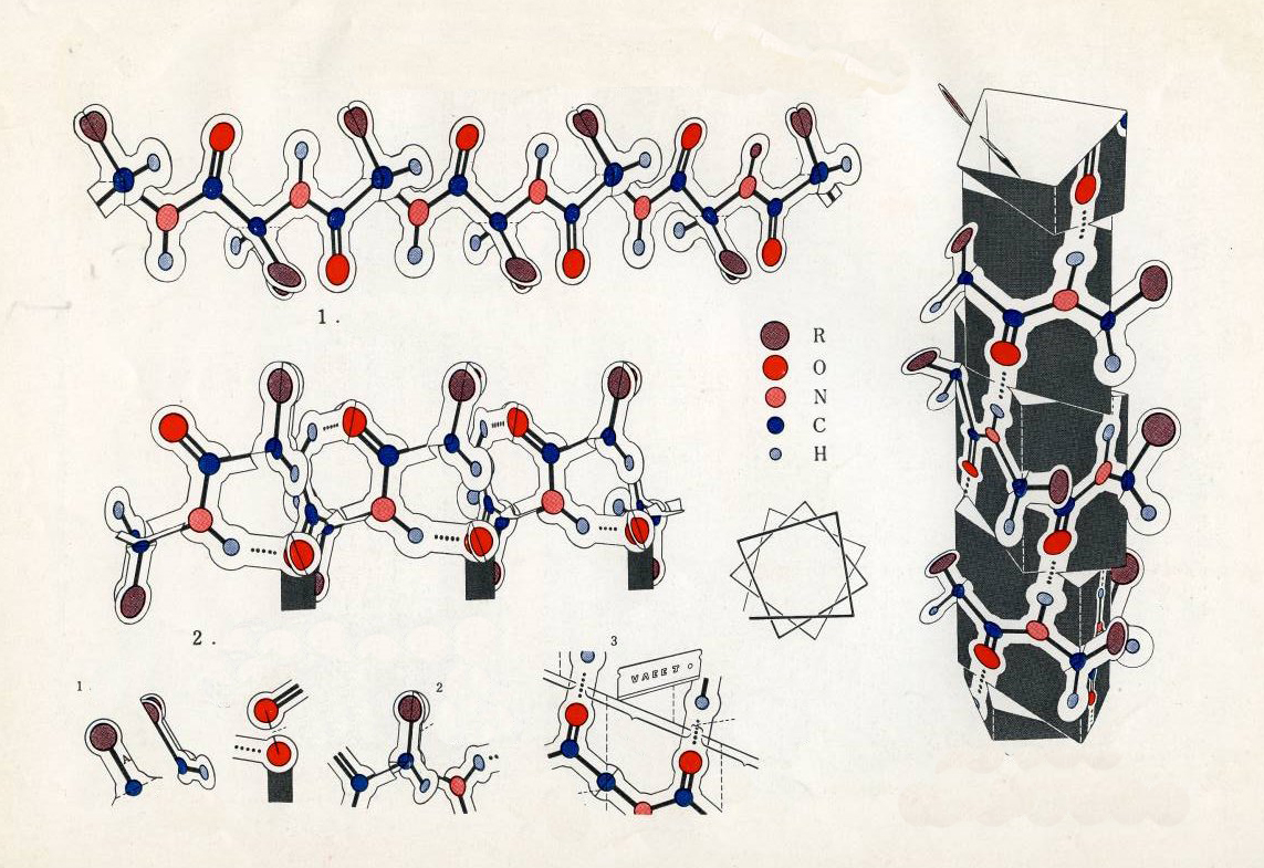 Molecular architecture of the α helix