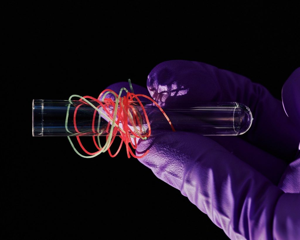 Undyed, Colored Protein-Based Fibers