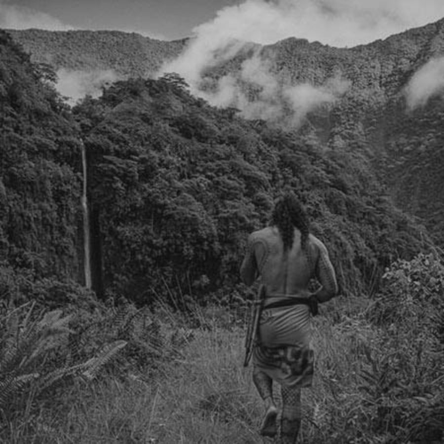 The Polynesian Coming-of-Age Haircut