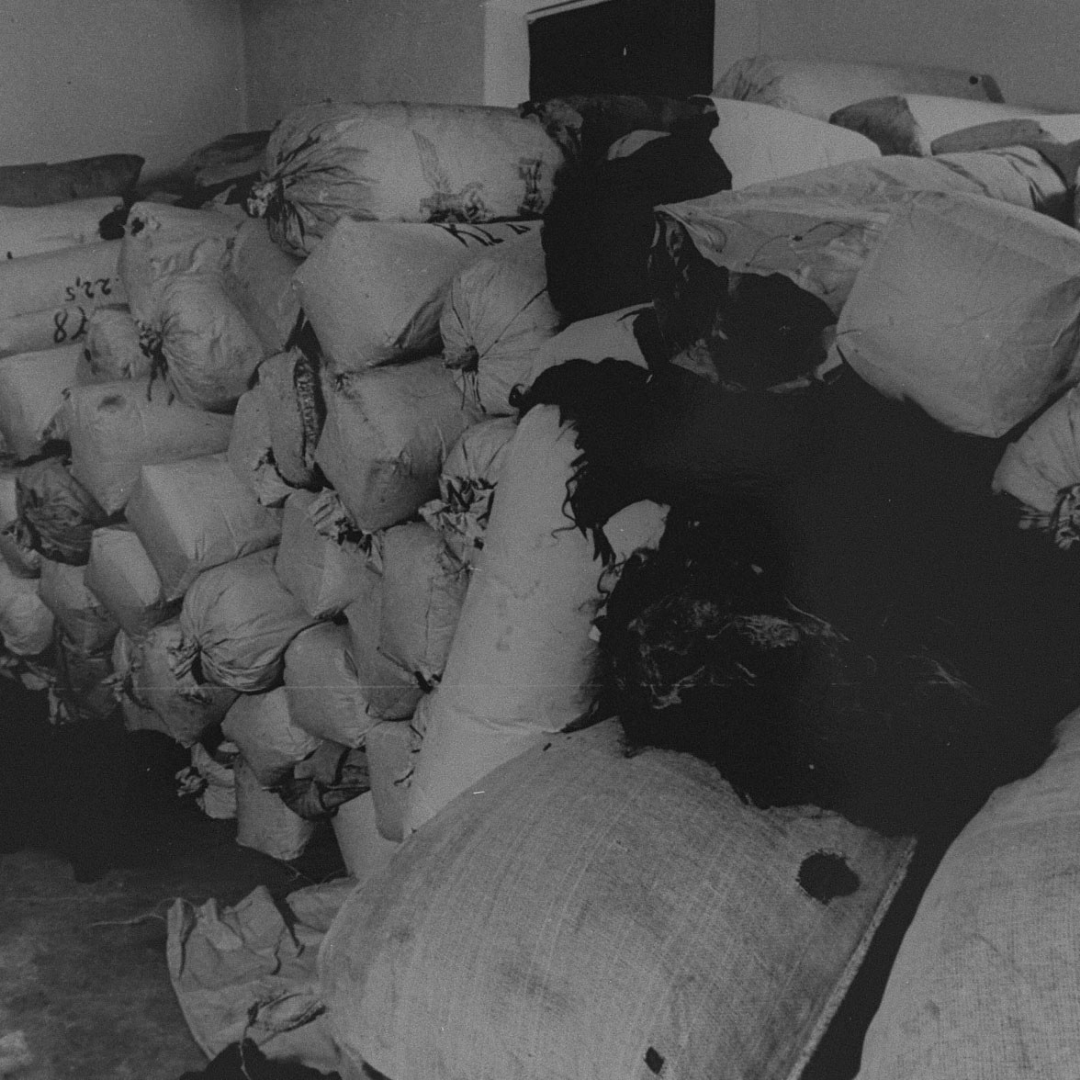 Exploitation and Dehumanization: German Concentration Camps