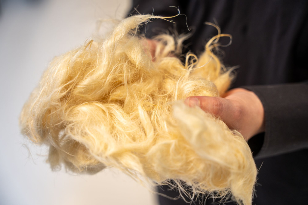 Hands holding a bundle of processed human hair fibre