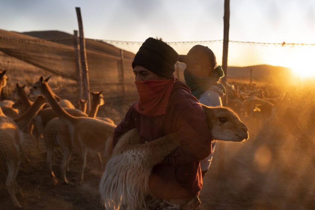 Wool herders in the Peruvian Andes